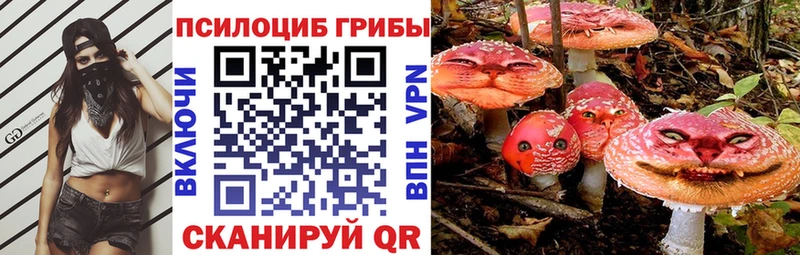 hydra ONION  дарк нет телеграм  Псилоцибиновые грибы ЛСД  Югорск 