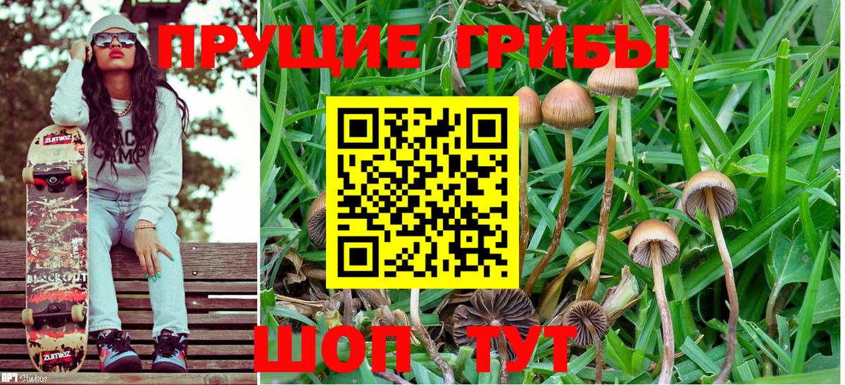 Югорск  Псилоцибиновые грибы прущие грибы  Вход с VPN 